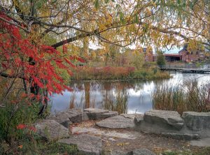 Gratitude for Autumn Glory at the Brickworks