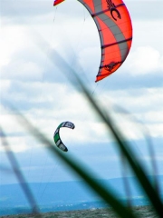 Fly on the wind