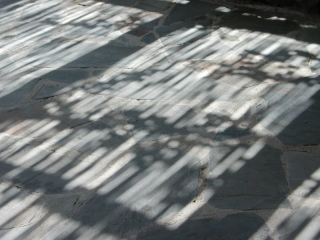 Shadowplay