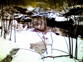 Reflecting Winter