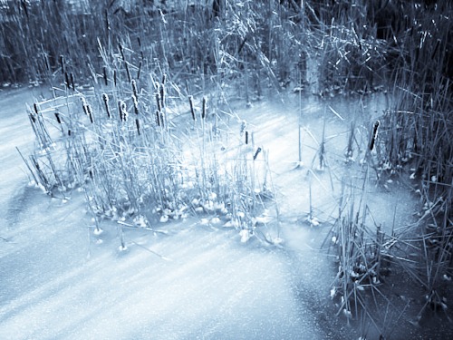 Snow rushes
